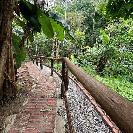 Vila Dos Passaros,Quarto 05 Itapema Ngoại thất bức ảnh