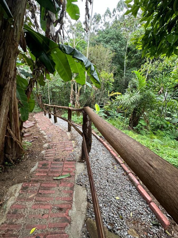 Vila Dos Passaros,Quarto 05 Itapema Ngoại thất bức ảnh