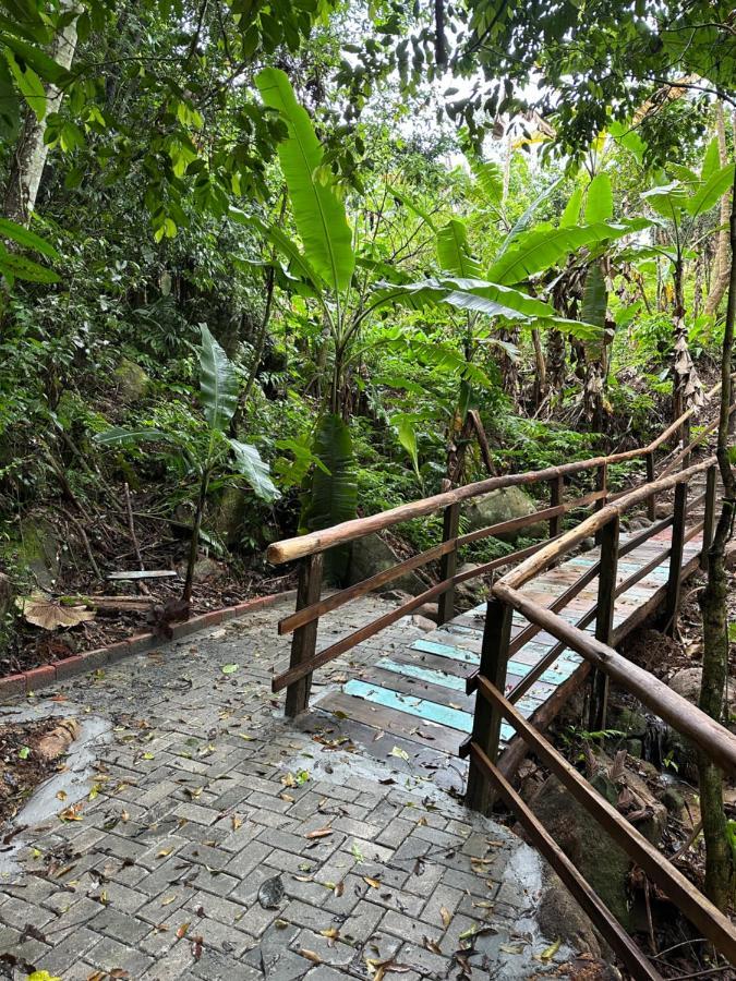 Vila Dos Passaros,Quarto 05 Itapema Ngoại thất bức ảnh
